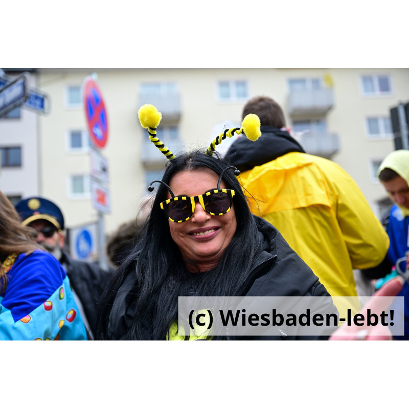 Wiesbadener Fastnachtssonntagsumzug 0928