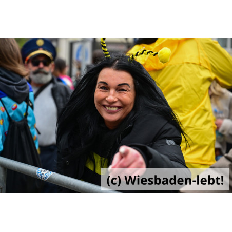 Wiesbadener Fastnachtssonntagsumzug 0929