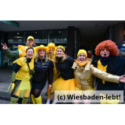 Wiesbadener Fastnachtssonntagsumzug 0931