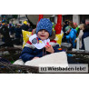Wiesbadener Fastnachtssonntagsumzug 0947