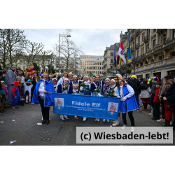 Wiesbadener Fastnachtssonntagsumzug 0955