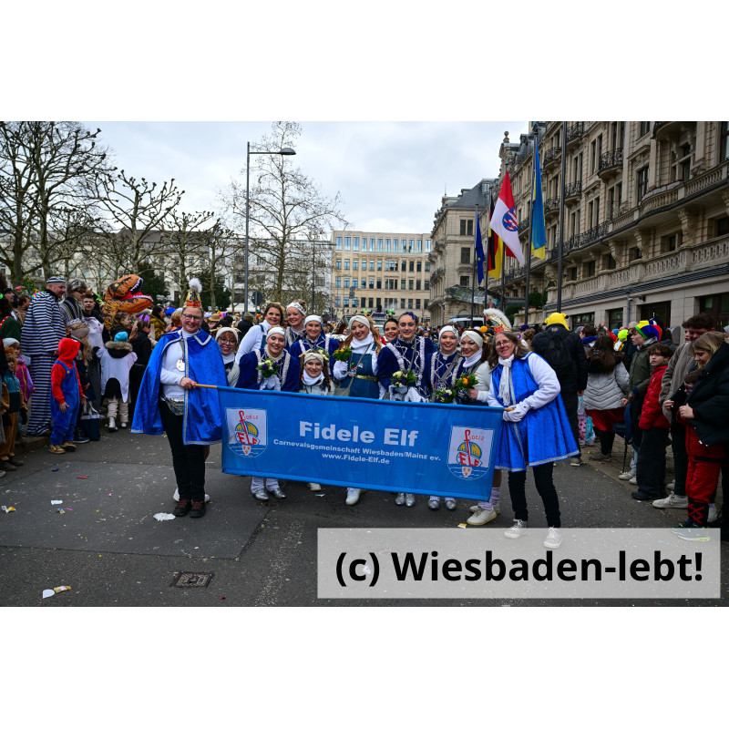 Wiesbadener Fastnachtssonntagsumzug 0955