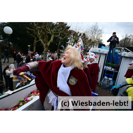 Wiesbadener Fastnachtssonntagsumzug 0967
