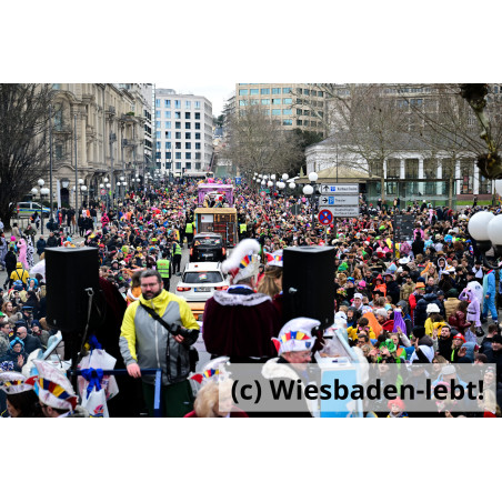 Wiesbadener Fastnachtssonntagsumzug 0980