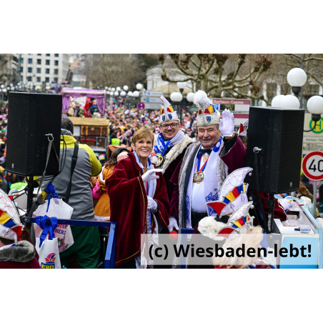 Wiesbadener Fastnachtssonntagsumzug 0981