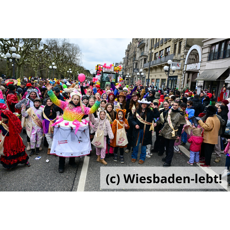 Wiesbadener Fastnachtssonntagsumzug 1002