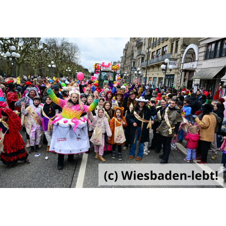Wiesbadener Fastnachtssonntagsumzug 1002