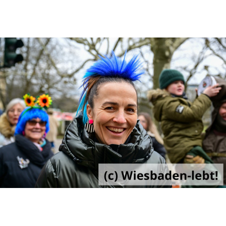 Wiesbadener Fastnachtssonntagsumzug 1004