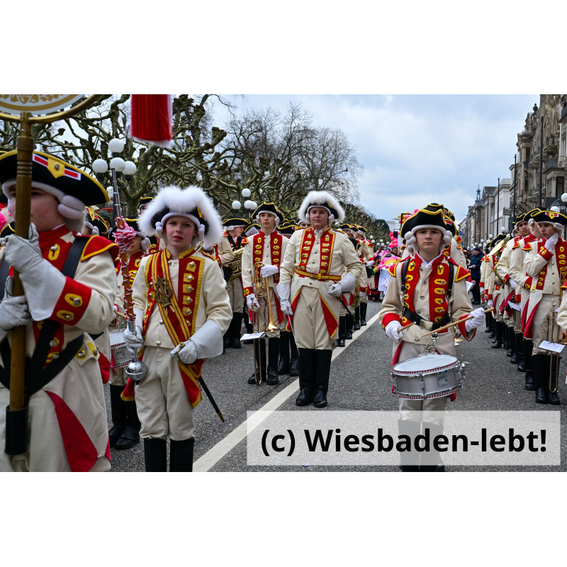 Wiesbadener Fastnachtssonntagsumzug 1005