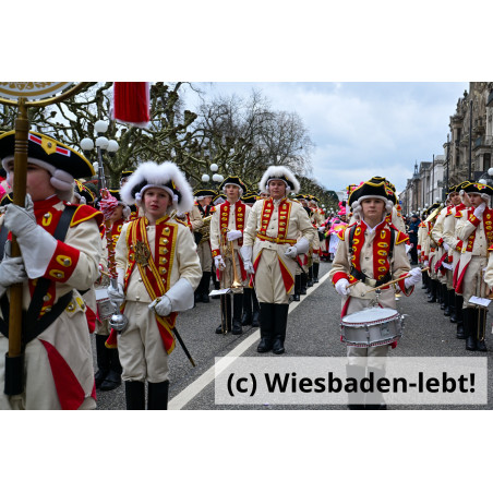 Wiesbadener Fastnachtssonntagsumzug 1005
