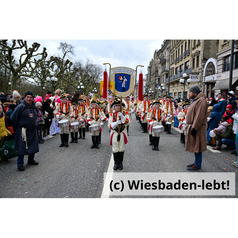 Wiesbadener Fastnachtssonntagsumzug 1006