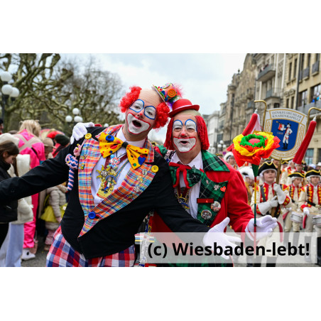 Wiesbadener Fastnachtssonntagsumzug 1008