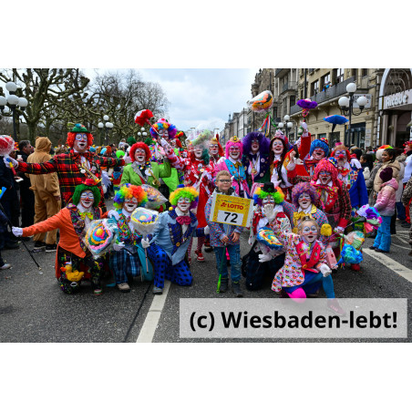 Wiesbadener Fastnachtssonntagsumzug 1011