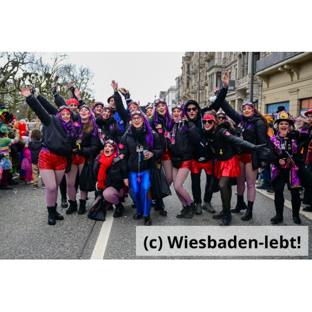 Wiesbadener Fastnachtssonntagsumzug 1019