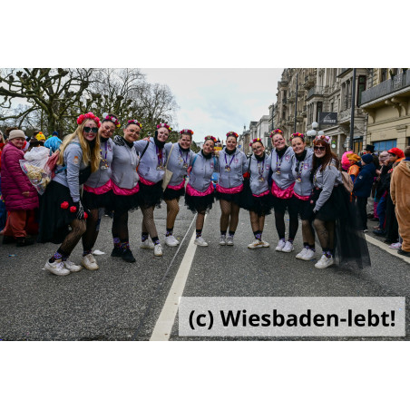 Wiesbadener Fastnachtssonntagsumzug 1021