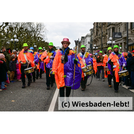 Wiesbadener Fastnachtssonntagsumzug 1029