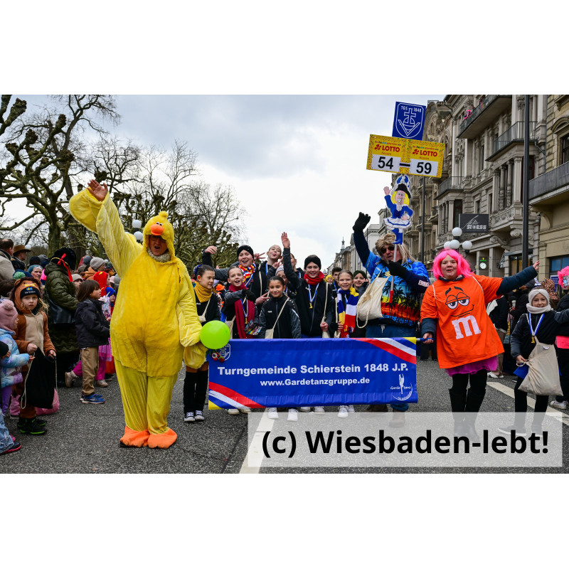 Wiesbadener Fastnachtssonntagsumzug 1031