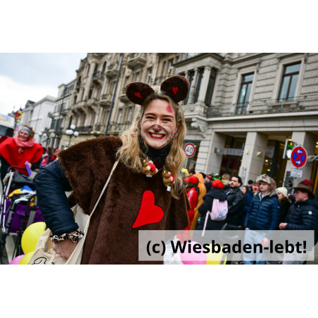 Wiesbadener Fastnachtssonntagsumzug 1040