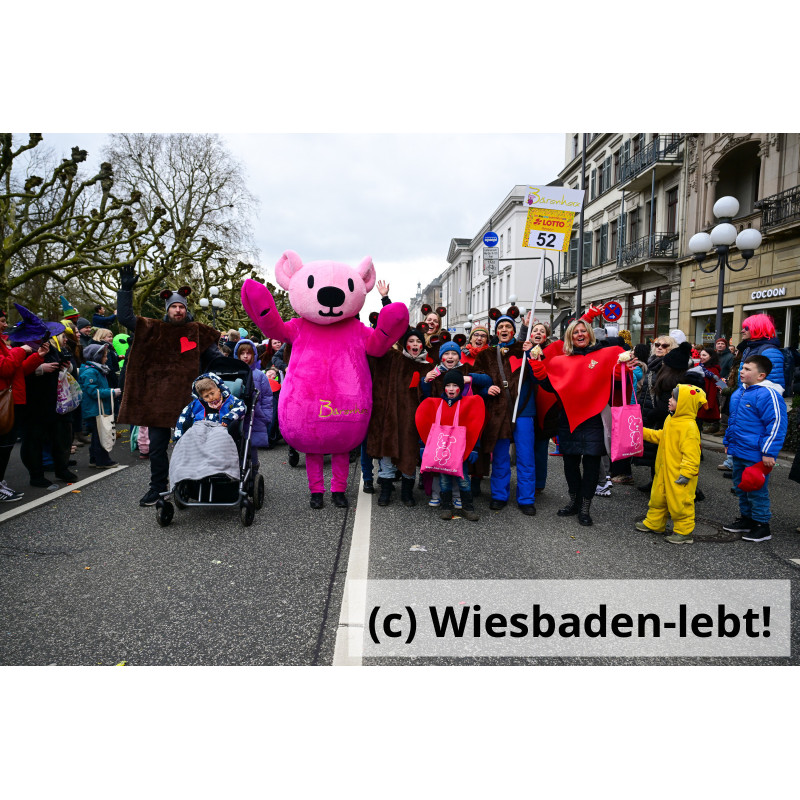 Wiesbadener Fastnachtssonntagsumzug 1041