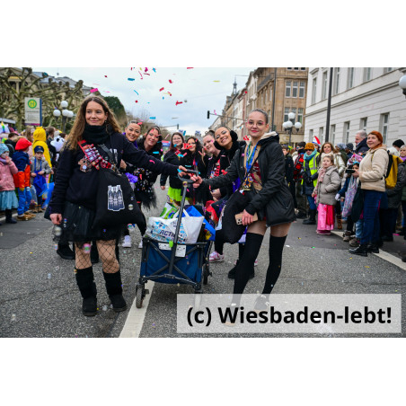 Wiesbadener Fastnachtssonntagsumzug 1052