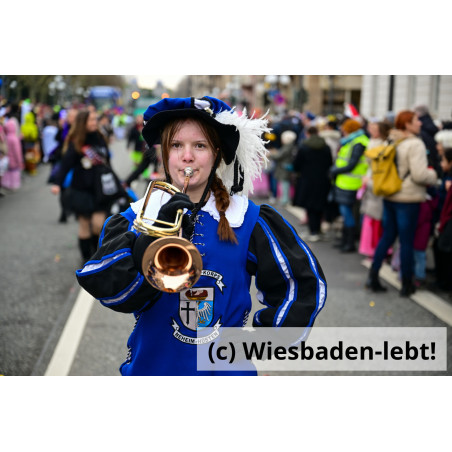 Wiesbadener Fastnachtssonntagsumzug 1053