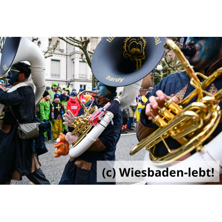 Wiesbadener Fastnachtssonntagsumzug 1068