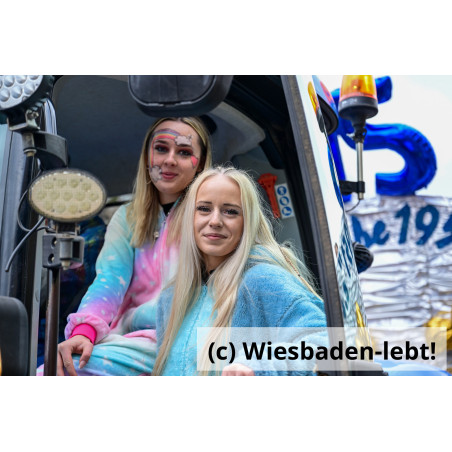 Wiesbadener Fastnachtssonntagsumzug 1086