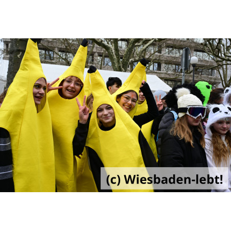 Wiesbadener Fastnachtssonntagsumzug 1094