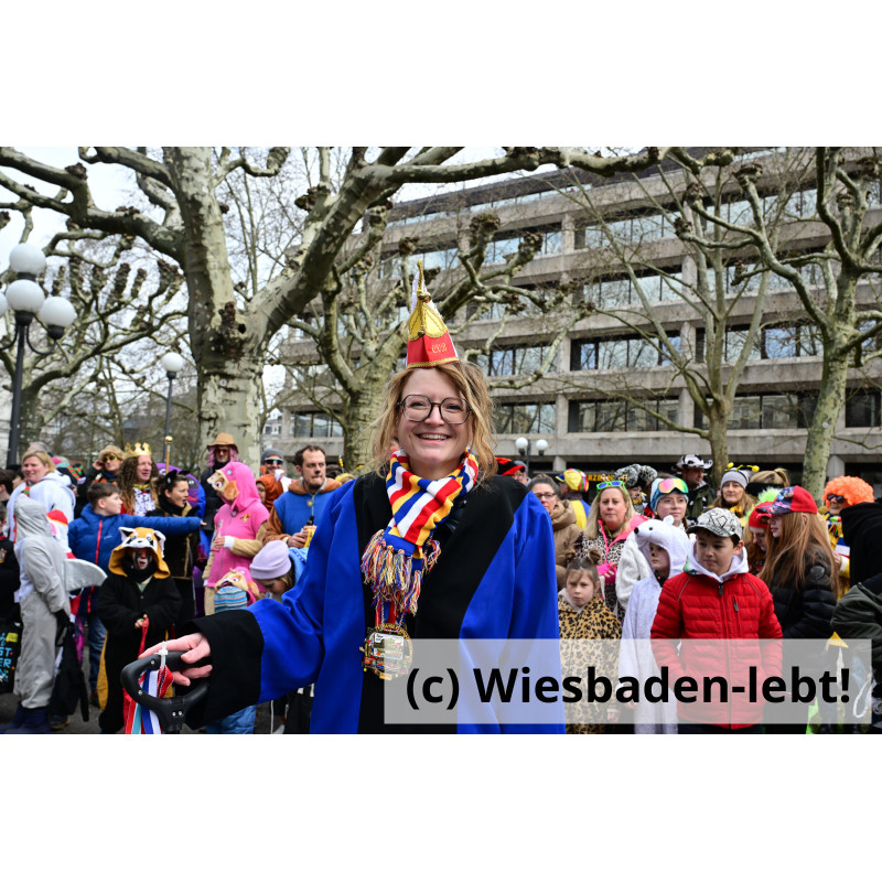 Wiesbadener Fastnachtssonntagsumzug 1109