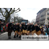 Wiesbadener Fastnachtssonntagsumzug 1110