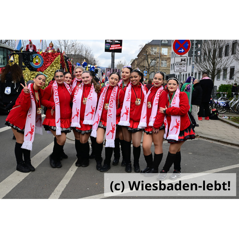 Wiesbadener Fastnachtssonntagsumzug 1119