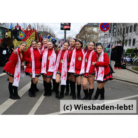 Wiesbadener Fastnachtssonntagsumzug 1119
