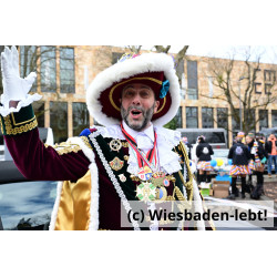 Wiesbadener Fastnachtssonntagsumzug 1120