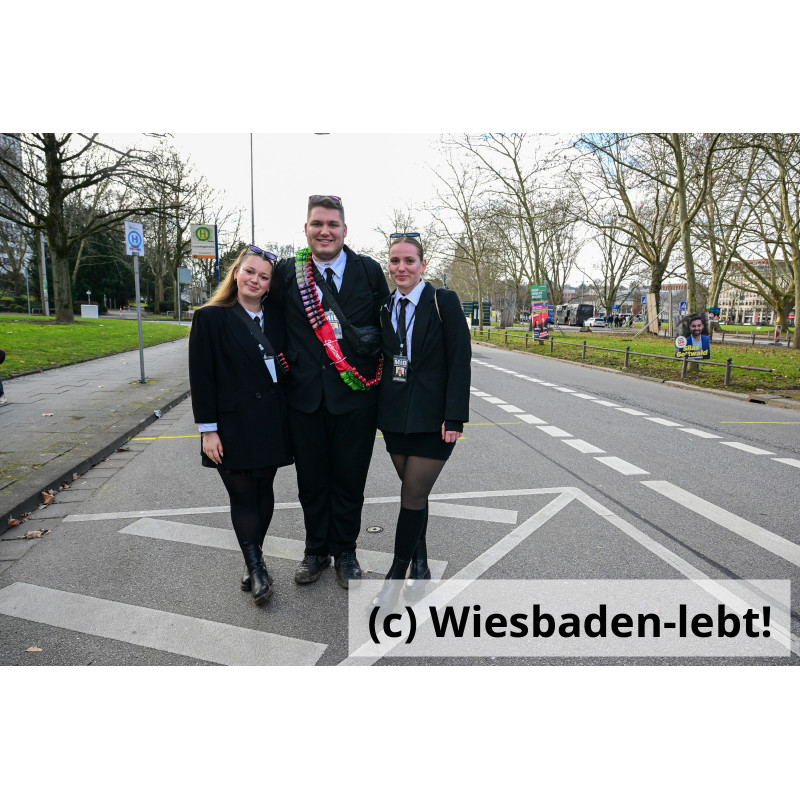 Wiesbadener Fastnachtssonntagsumzug 1150