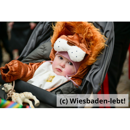 Kinderfastnachtsumzug 119