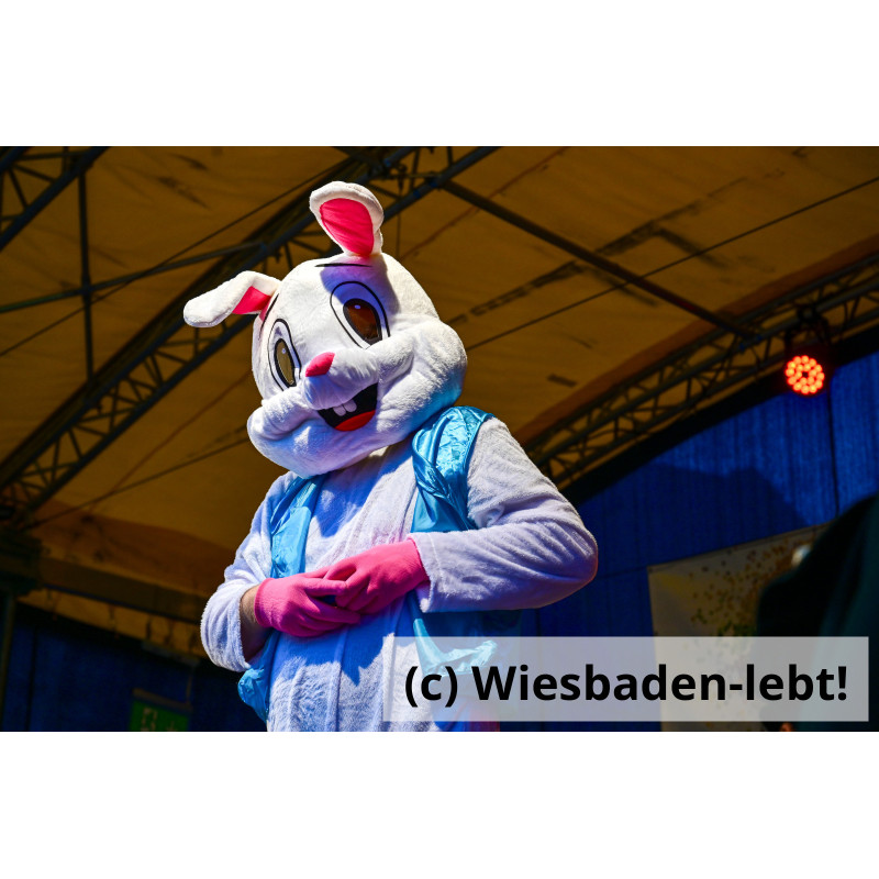 Kinderfastnachtsumzug 001