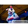 Kinderfastnachtsumzug 001