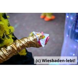 Kinderfastnachtsumzug 092