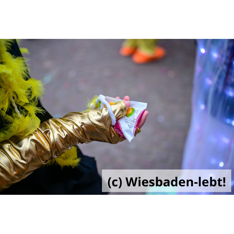 Kinderfastnachtsumzug 092