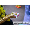 Kinderfastnachtsumzug 092