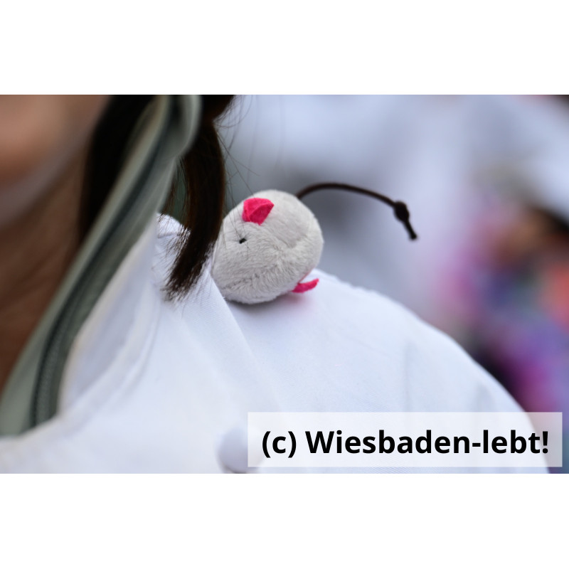 Frauenstein Rosenmontag 003