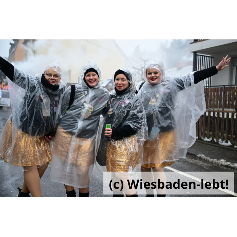 Frauenstein Rosenmontag 005