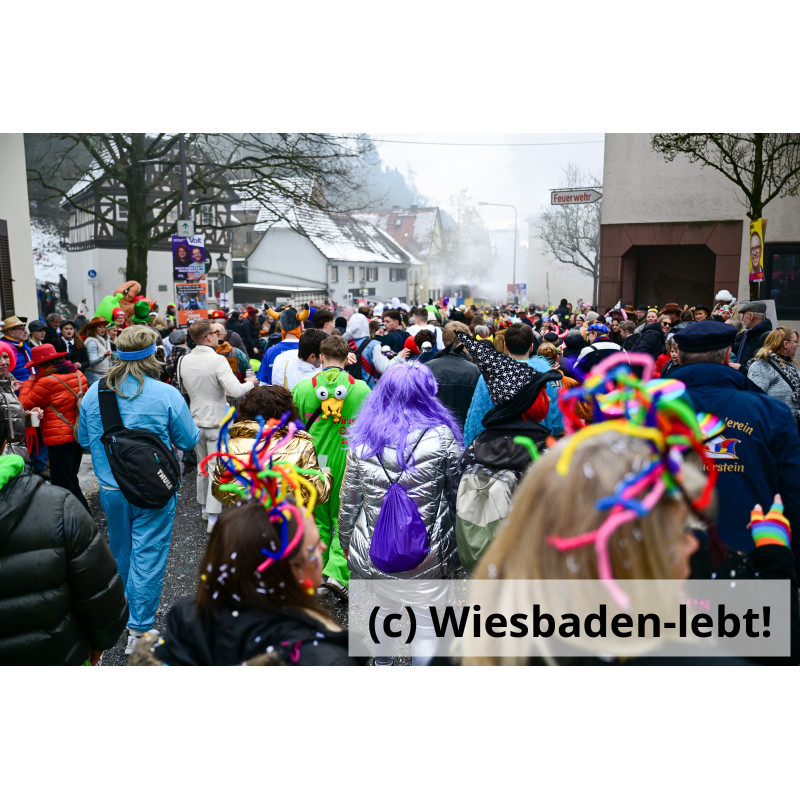 Frauenstein Rosenmontag 019