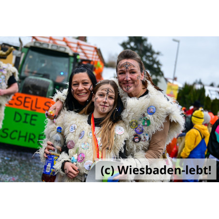 Frauenstein Rosenmontag 038