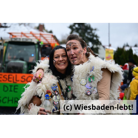 Frauenstein Rosenmontag 039