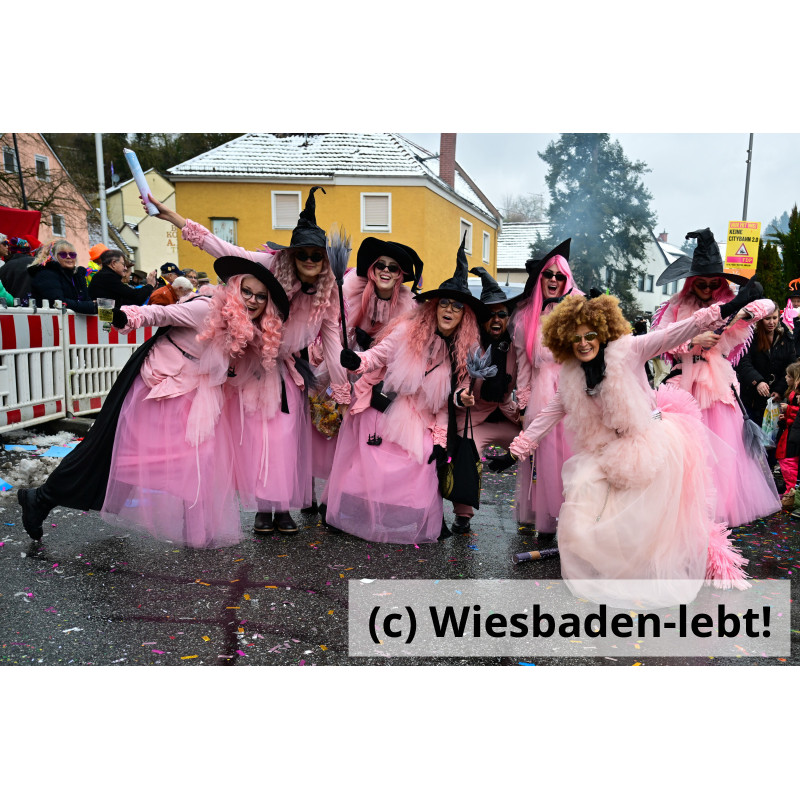 Frauenstein Rosenmontag 071