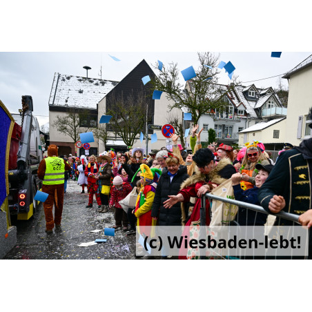 Frauenstein Rosenmontag 072