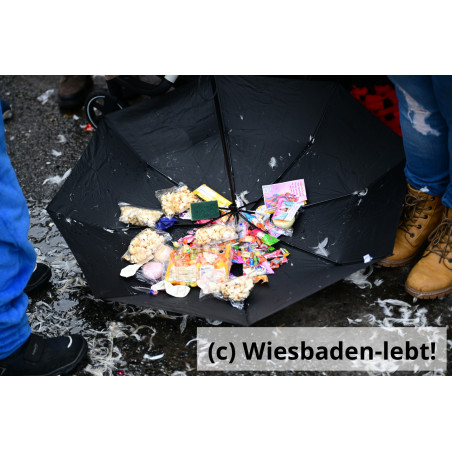 Frauenstein Rosenmontag 078