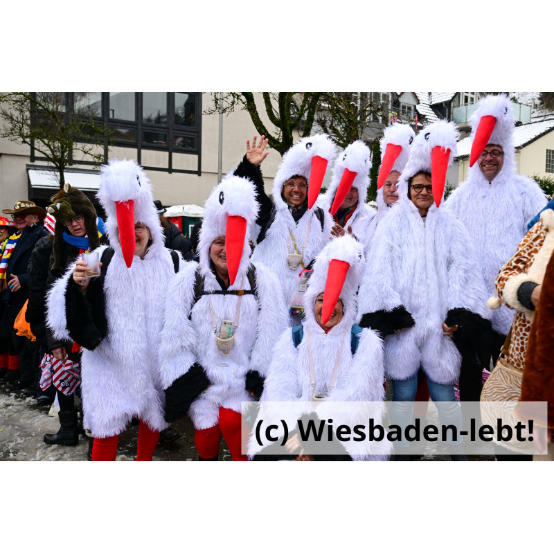 Frauenstein Rosenmontag 090