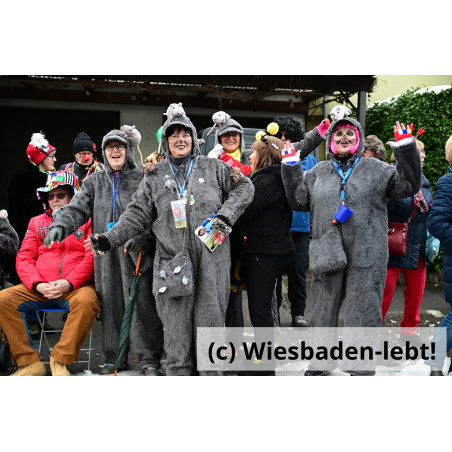 Frauenstein Rosenmontag 104